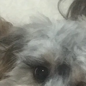 creator Cash and shady's avatar