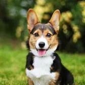 creator To sucker's avatar