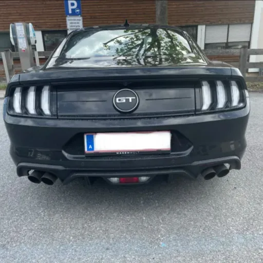 creator LiiiiiiiiiiiiiiAM's avatar