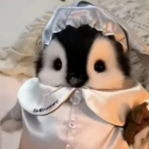 creator 💖TISHA ZIKIRA💝💖's avatar