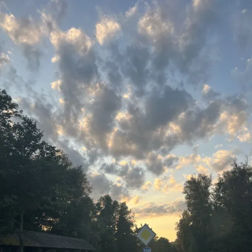 creator Benji .'s avatar