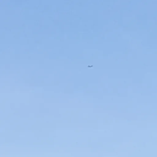 creator ~*XM*~'s avatar