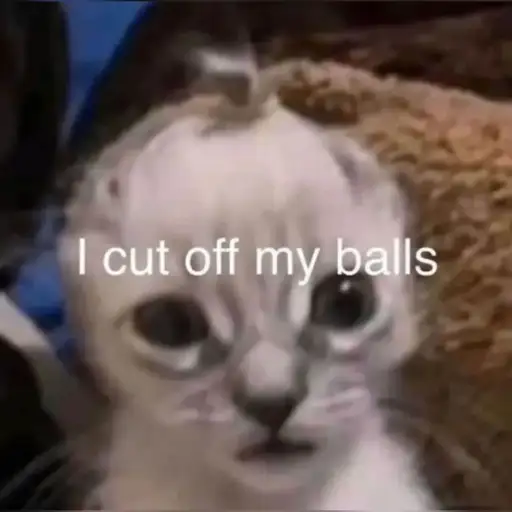 creator Game is not Game's avatar