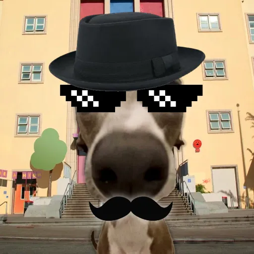 talkie's author avatar