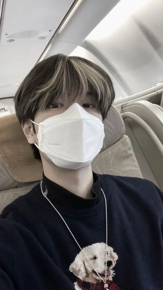 ai character: •|SEUNGMIN|• background