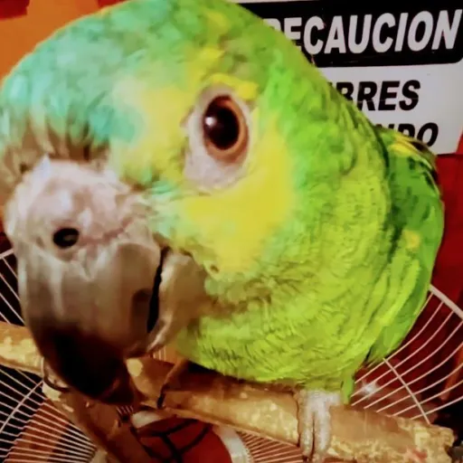 creator María 342's avatar