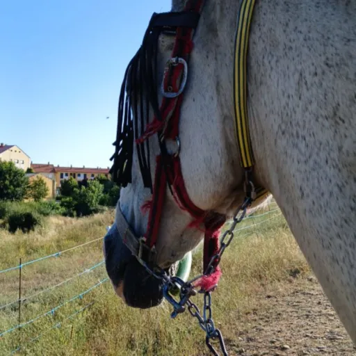 creator Talkior-uTjrl5xA's avatar