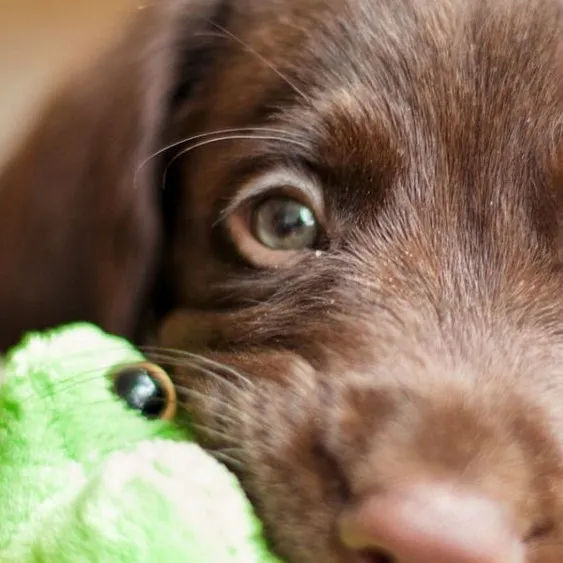 chat with ai character: SLEEPOVER