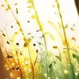 chat with ai character: Idk>_<