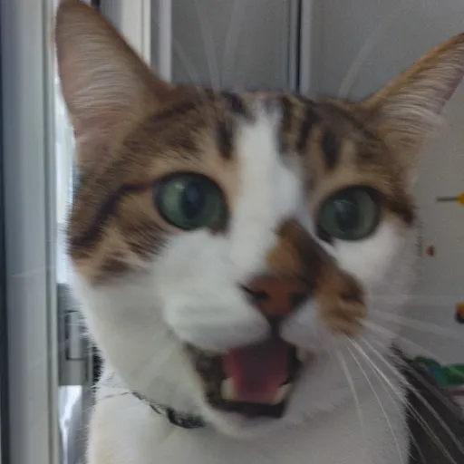 creator Fluxus's avatar