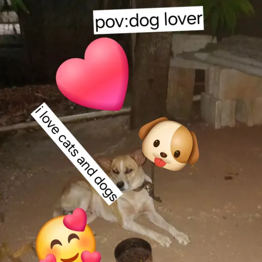 creator m-i-a_mia's avatar