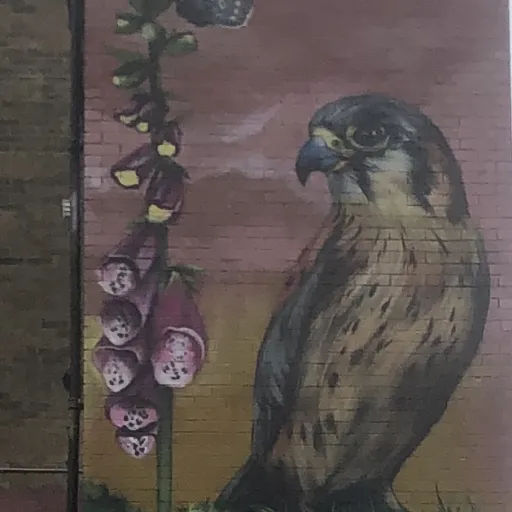 creator Katherine Treva's avatar