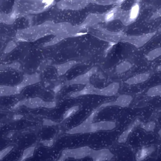 creator brauh i hate every's avatar