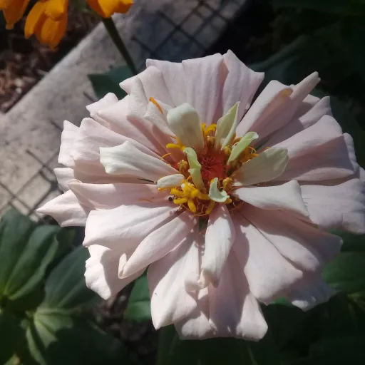 creator suiiiiiiiiiiiiii!'s avatar