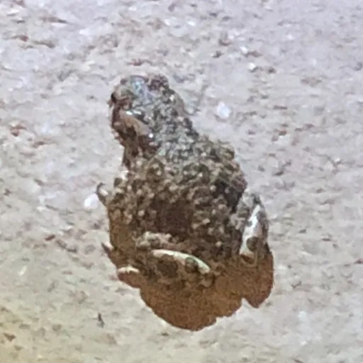 creator FrogMan:)'s avatar