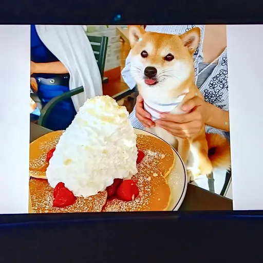 creator Talkior-AFczkqVK's avatar