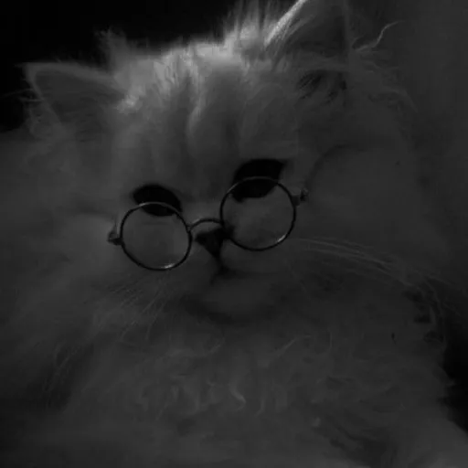 creator Am3lia👇🔑😈's avatar