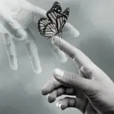 creator a loving war's avatar