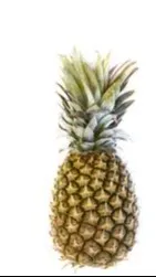ai character: Pineapple background