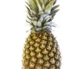 chat with ai character: Pineapple