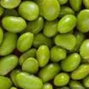 creator •Lima_bean•'s avatar