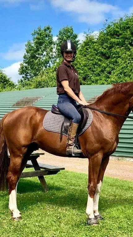 ai character: Sox the stallion background