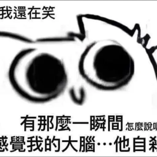 creator cherish一's avatar