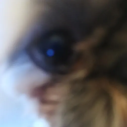 creator just_smile✨'s avatar