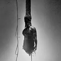 creator Execution...'s avatar