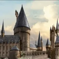 chat with ai character: Y/n Black