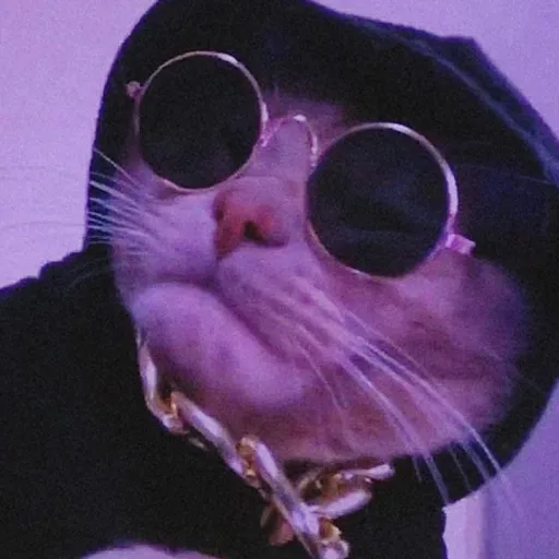 creator coolthecat's avatar