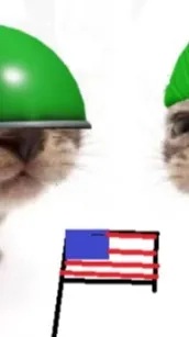 ai character: Flanky and Troopy background