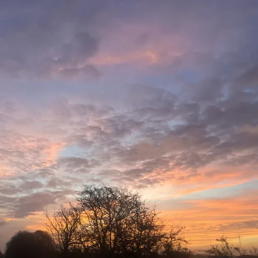 creator Call me Avelina's avatar