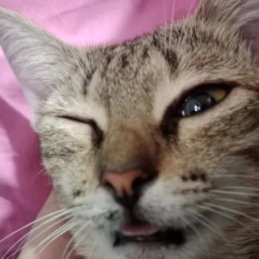 creator hercsofat's avatar