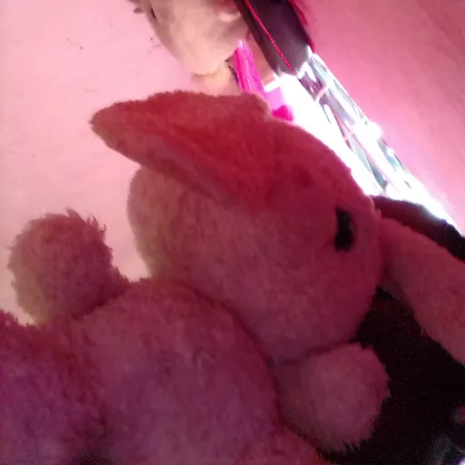 creator bunny hops's avatar