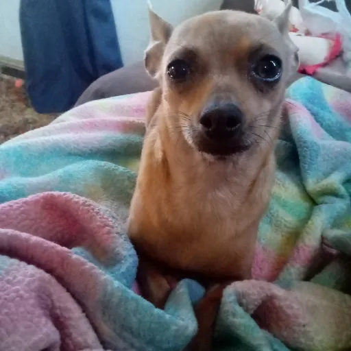 creator Stay_forever32's avatar