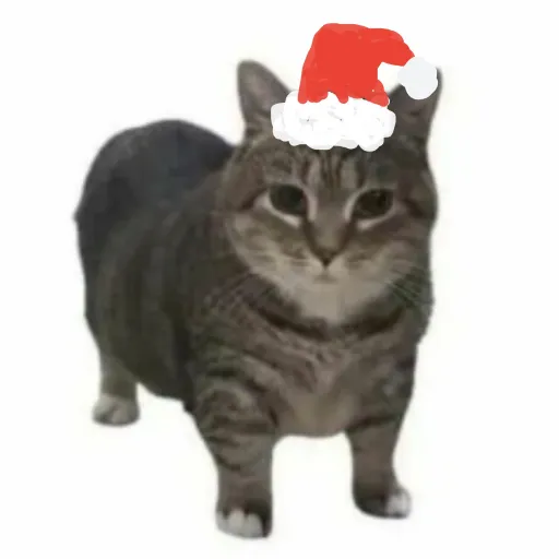 creator La mafia rusa🤑's avatar