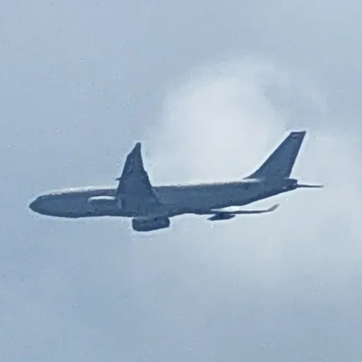 creator Md 11's avatar