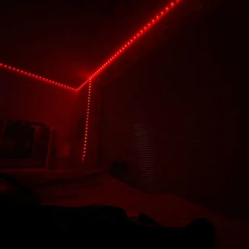 creator S ꨄ's avatar