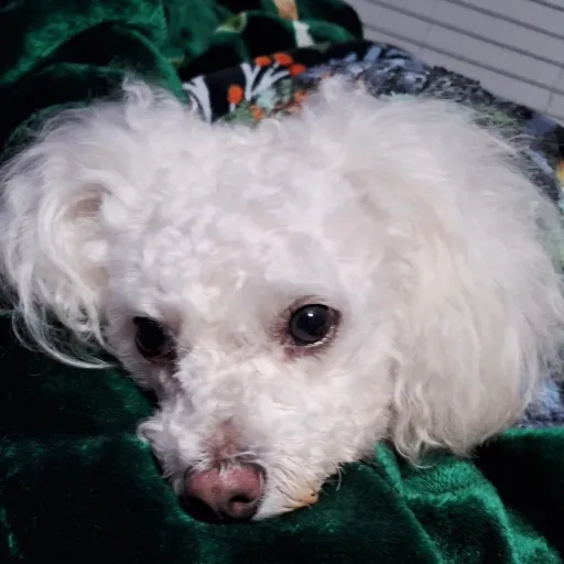 creator Emely M.'s avatar