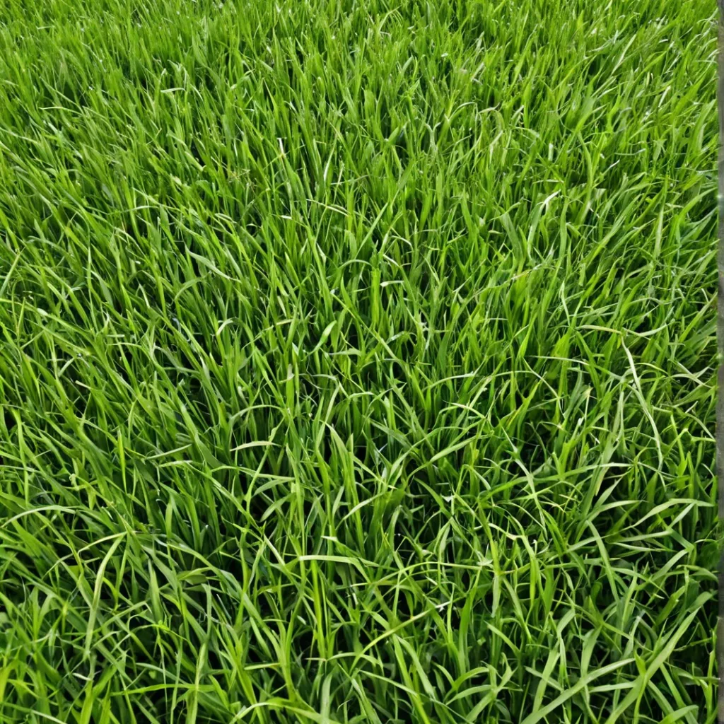 chat with ai character: Grass