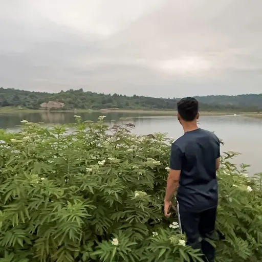 talkie's author avatar