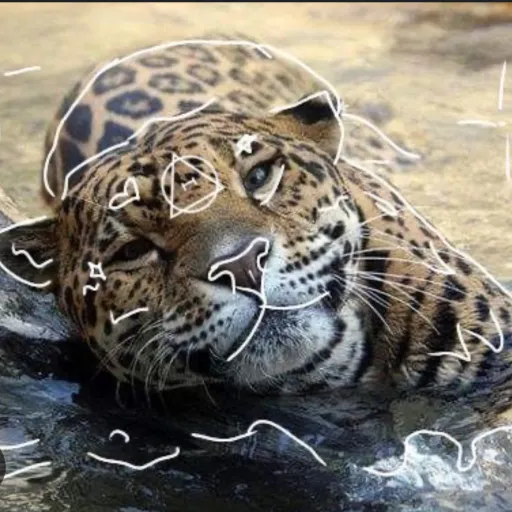 creator Percy-puff! ✝️🔱's avatar