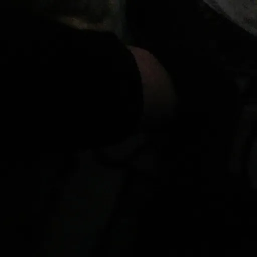 creator Talkieee0's avatar