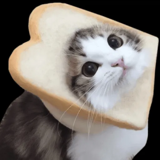 creator 🧸🔮_BEST_🔮🧸's avatar