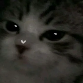 creator Anela!!!!'s avatar