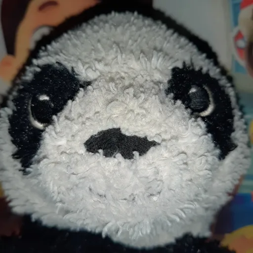 creator ABjune2022's avatar