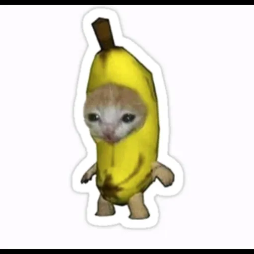 creator 🎧Olivia/Aimie🎀's avatar