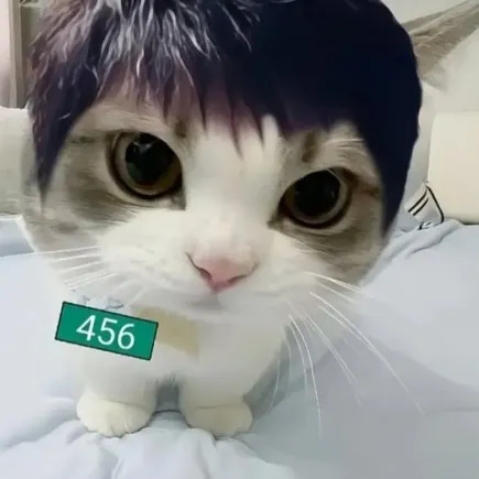 creator •☆RAMI☆•'s avatar