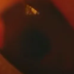 chat with ai character: boywithuke/Charley